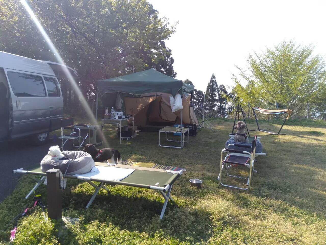 犬と一緒に開放的なキャンプガラガラ山キャンプ場朝日