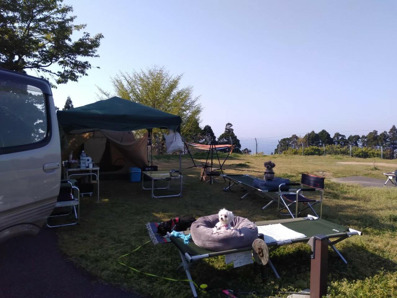 犬と一緒に開放的なキャンプガラガラ山キャンプ場