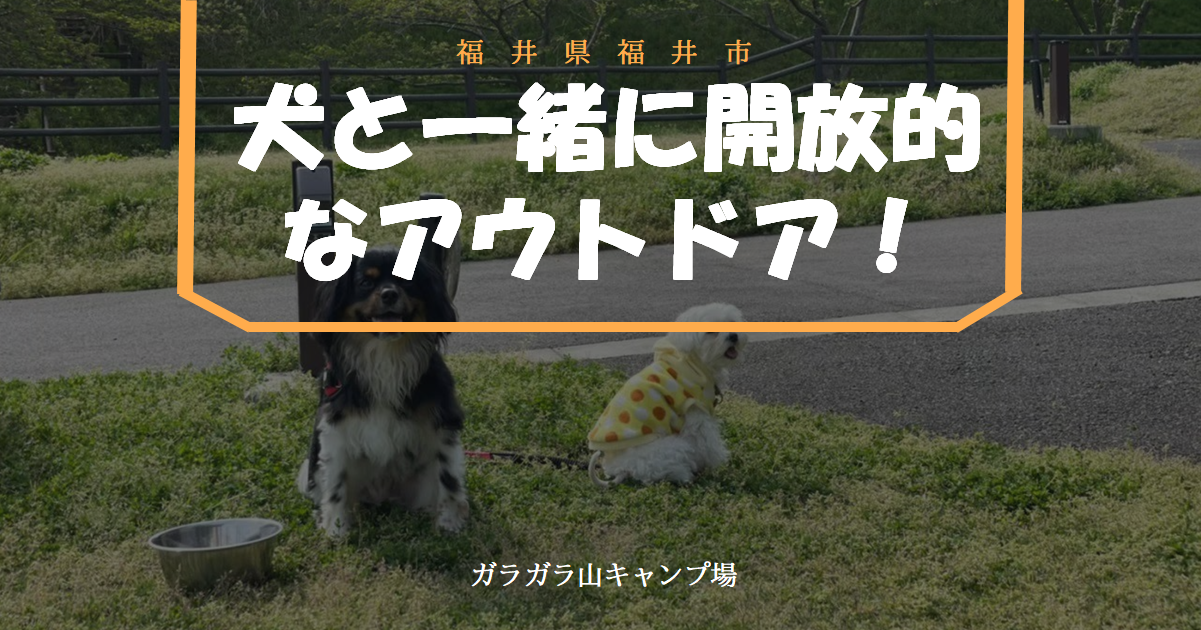 犬と一緒に開放的なキャンプガラガラ山キャンプ場サムネイル