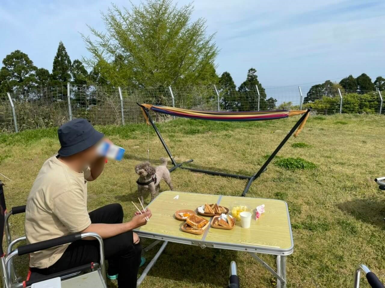 犬と一緒に開放的なキャンプガラガラ山キャンプ場朝