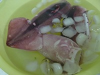 �����̃{�C��1