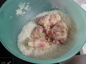 �t���C�̃p�����t���@